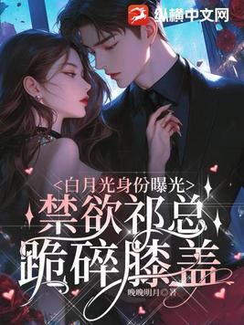 白月光 ql