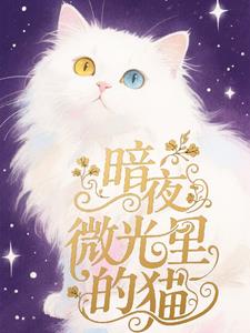暗夜微光完整版